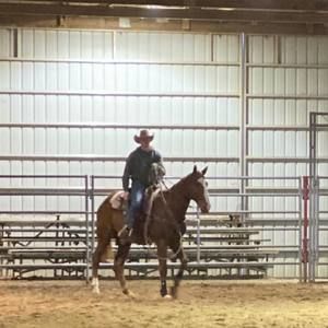 Meet your Posher, Derek